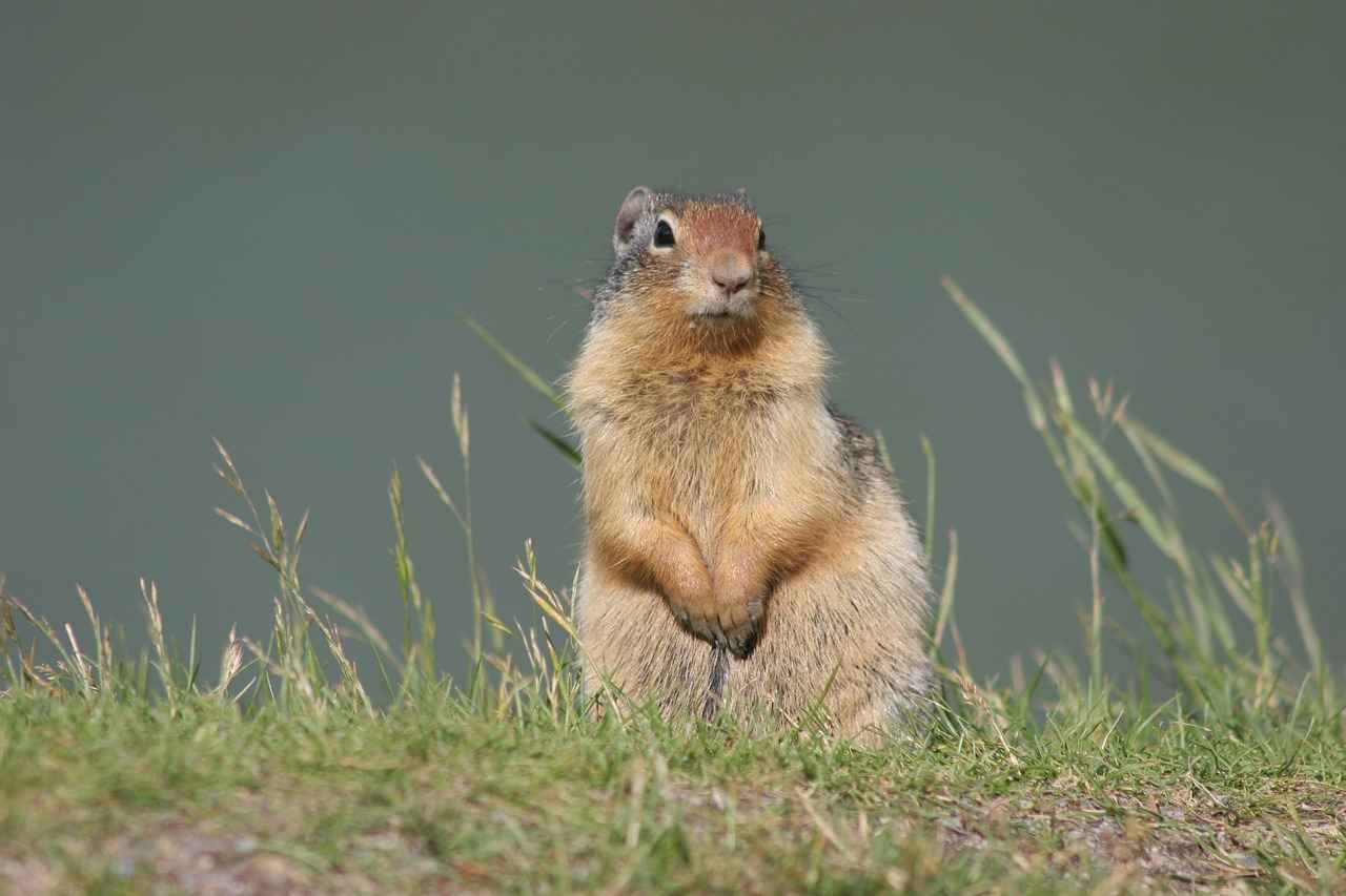 Was sagen die Abonnenten über Mckinley Richardson?