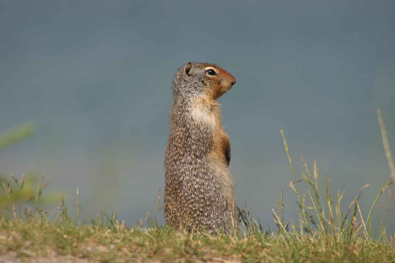 Wie schützt Mckinley Richardson seine Inhalte vor Leaks?