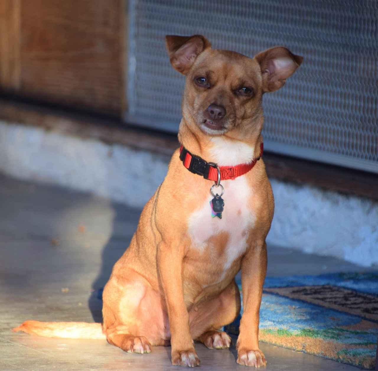 Wie verdienen Creator auf OnlyFans Geld?