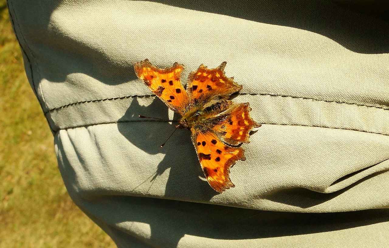 Sehenswürdigkeiten in der Nähe