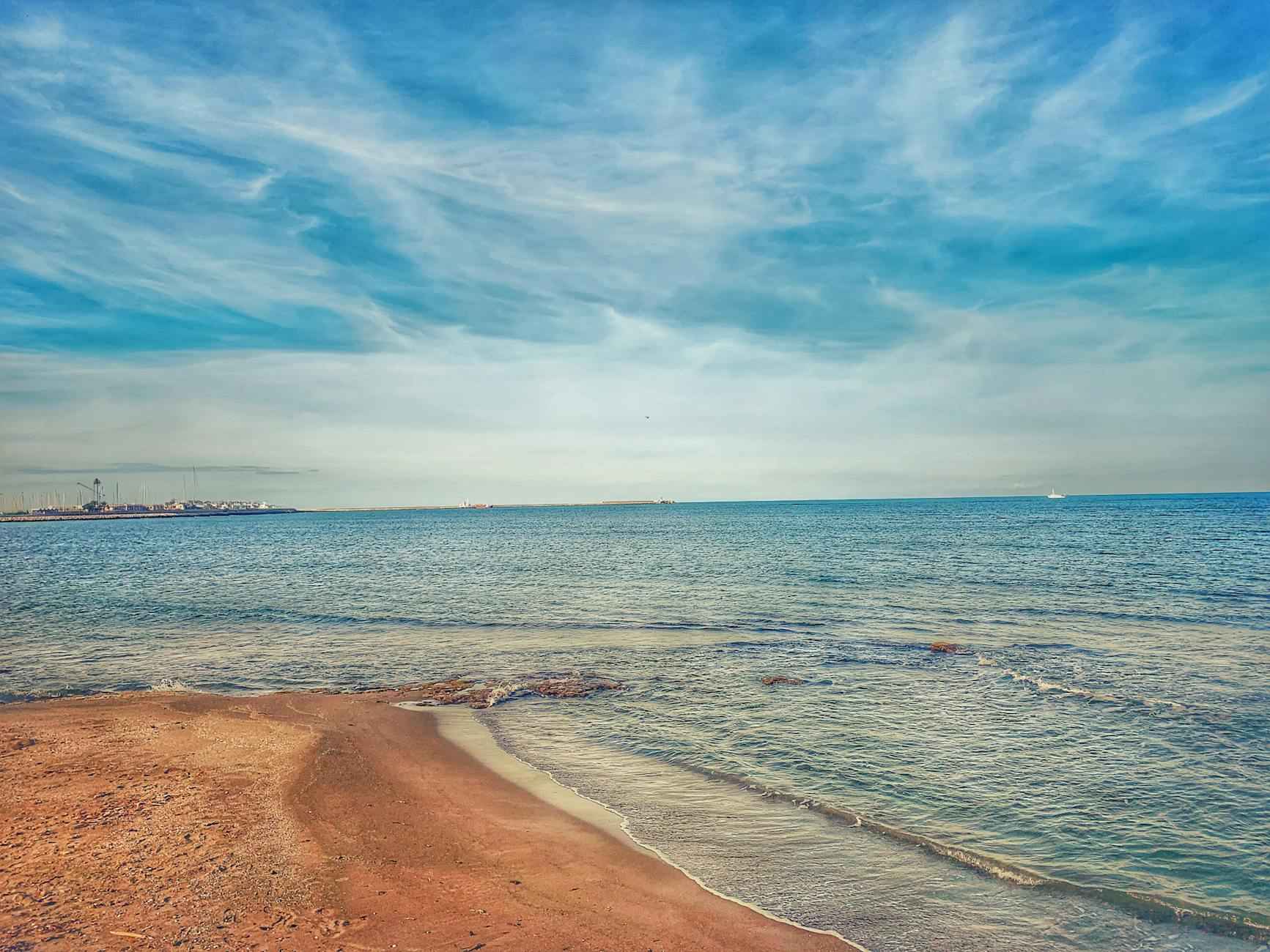 Un Refuge Pour Les Chats