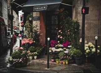 Pflanzen-Kölle Gartencenter GmbH & Co. KG Berlin – Borgsdorf – Gartenfreude Im Norden Pflanzen-Kölle Gartencenter GmbH & Co. KG Berlin – Borgsdorf – Gartenfreude Im Norden