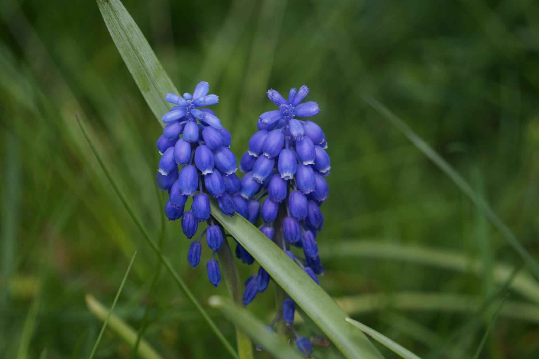 Produits écologiques et durables