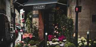 Pflanzen-Kölle Gartencenter GmbH & Co. KG Berlin – Wildau – Alles Für Garten Und Balkon Pflanzen-Kölle Gartencenter GmbH & Co. KG Berlin – Wildau – Alles Für Garten Und Balkon