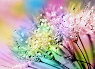 Sophie Rain OnlyFans Profil – Gibt es geleakte Fotos oder Videos? Sophie Rain OnlyFans Profil – Gibt es geleakte Fotos oder Videos?