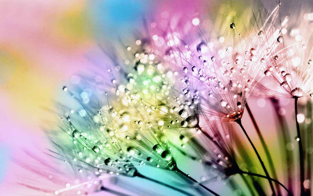 Was für Inhalte bietet Sophie Rain auf OnlyFans an?