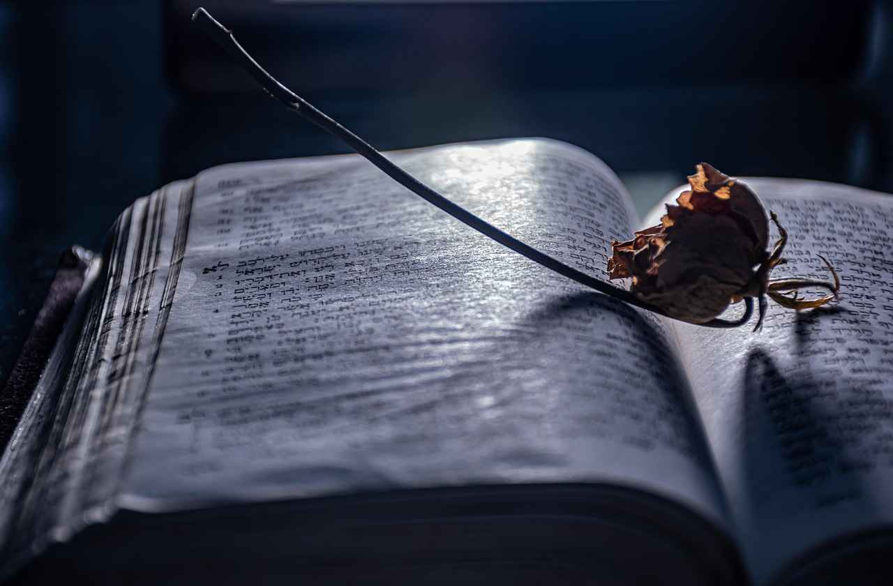 Was sind die Vorteile von OnlyFans für Kreative?