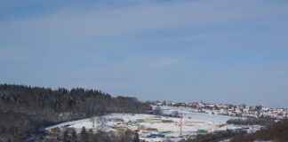 Teilnehmer: VfB Stuttgart Gegen Union Berlin Statistiken – Überraschende Daten Und Fakten Teilnehmer: VfB Stuttgart Gegen Union Berlin Statistiken – Überraschende Daten Und Fakten