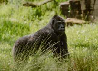 Teilnehmer: VfB Stuttgart Gegen Union Berlin Tabelle – So Sieht Der Aktuelle Stand Aus Teilnehmer: VfB Stuttgart Gegen Union Berlin Tabelle – So Sieht Der Aktuelle Stand Aus