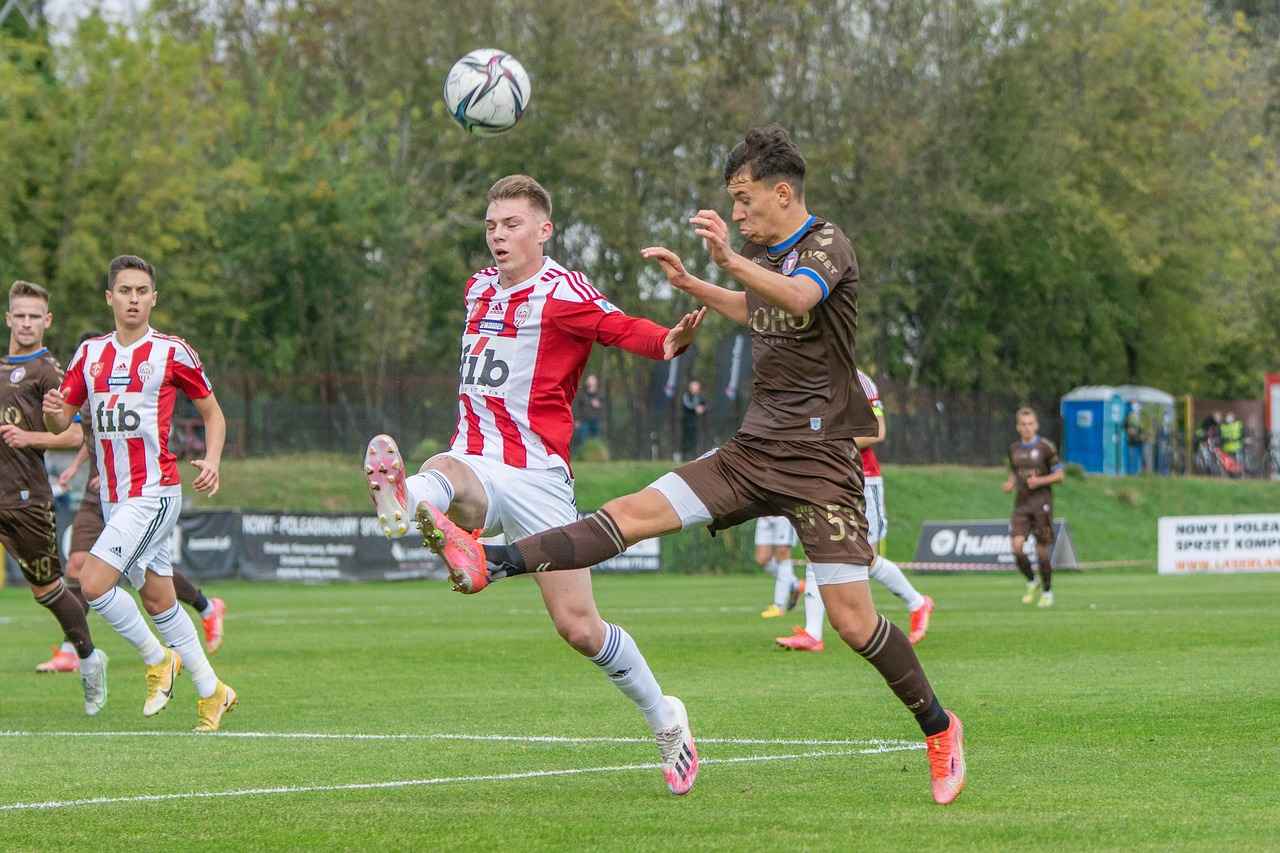 Schlussfolgerungen und Ausblick