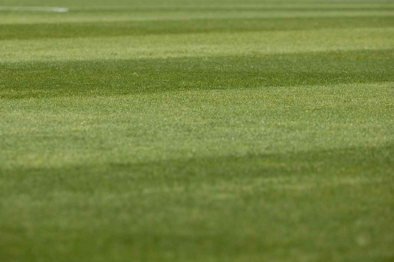 Ticker: Teilnehmer: Union Berlin Gegen Borussia Dortmund – So Spannend War Es Noch Nie 3 Schlüsselmomente des Spiels