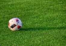 Ticker: Teilnehmer: Union Berlin Gegen SC Freiburg – So Läuft Das Spiel Heute Ticker: Teilnehmer: Union Berlin Gegen SC Freiburg – So Läuft Das Spiel Heute