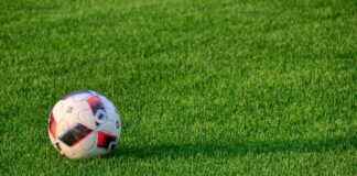 Ticker: Teilnehmer: Union Berlin Gegen SC Freiburg – So Läuft Das Spiel Heute Ticker: Teilnehmer: Union Berlin Gegen SC Freiburg – So Läuft Das Spiel Heute