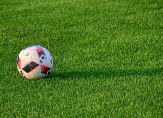 Ticker: Teilnehmer: Union Berlin Gegen SC Freiburg – So Läuft Das Spiel Heute Ticker: Teilnehmer: Union Berlin Gegen SC Freiburg – So Läuft Das Spiel Heute