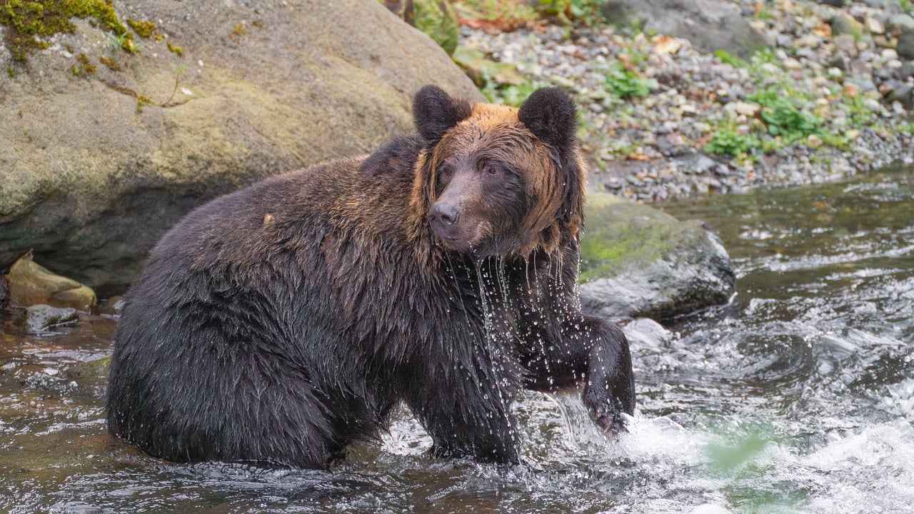 Wie hat OnlyFans die Social-Media-Landschaft verändert?