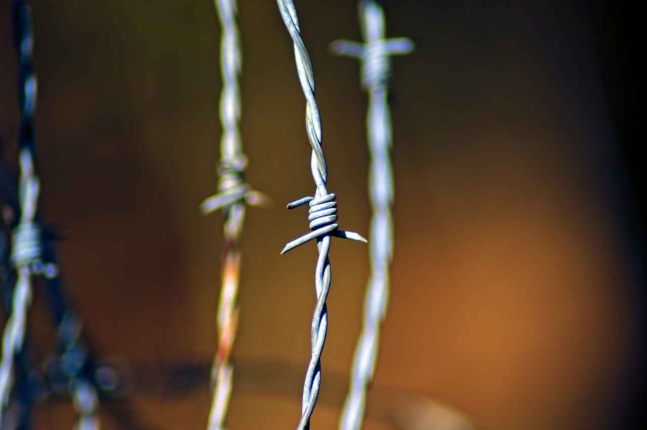 Wie vermeidet man Betrug im Zusammenhang mit OnlyFans im Internet? 4 Gibt es auf OnlyFans Leaks von Inhalten?