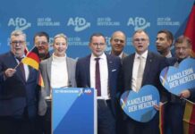 afd-rechtsextremer-rechtsruck-in-deutschland-eine-analyse