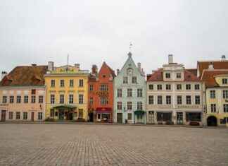 Aufstellungen: Teilnehmer: 1. FC Nürnberg Gegen Juventus Turin: Wer wird für Nürnberg gegen Juventus auflaufen? Aufstellungen: Teilnehmer: 1. FC Nürnberg Gegen Juventus Turin: Wer wird für Nürnberg gegen Juventus auflaufen?