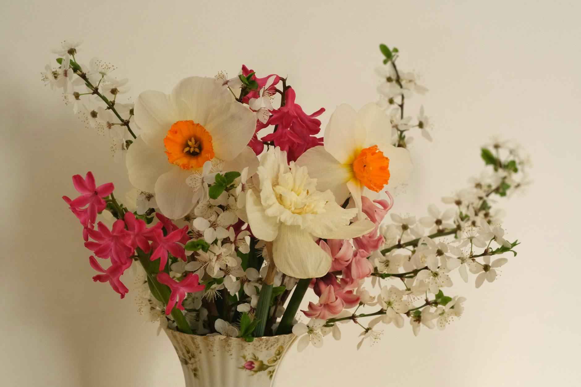 Team-Statistiken von Bayer 04 Leverkusen