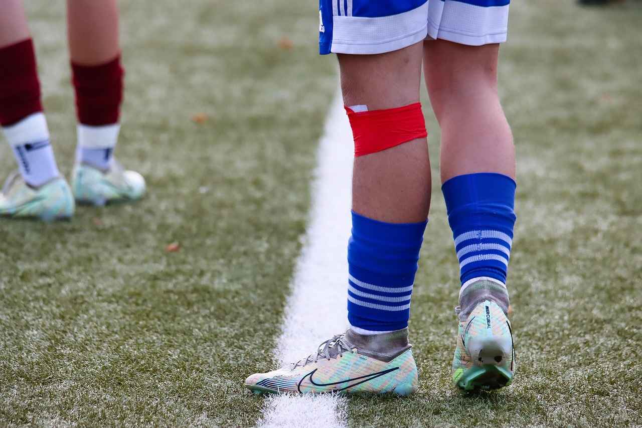 Schlussfolgerung und Ausblick