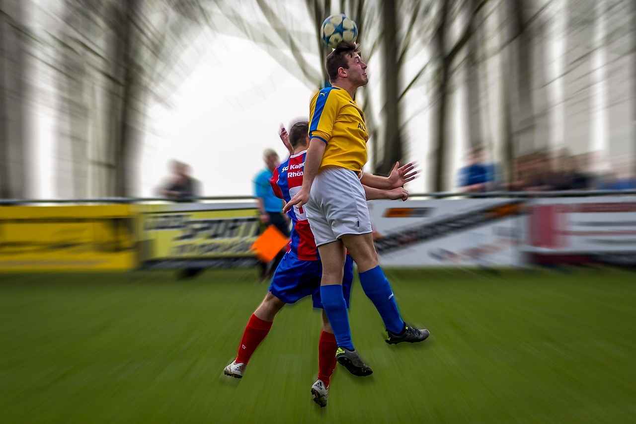 Dinamo Zagrebs Aufstellung