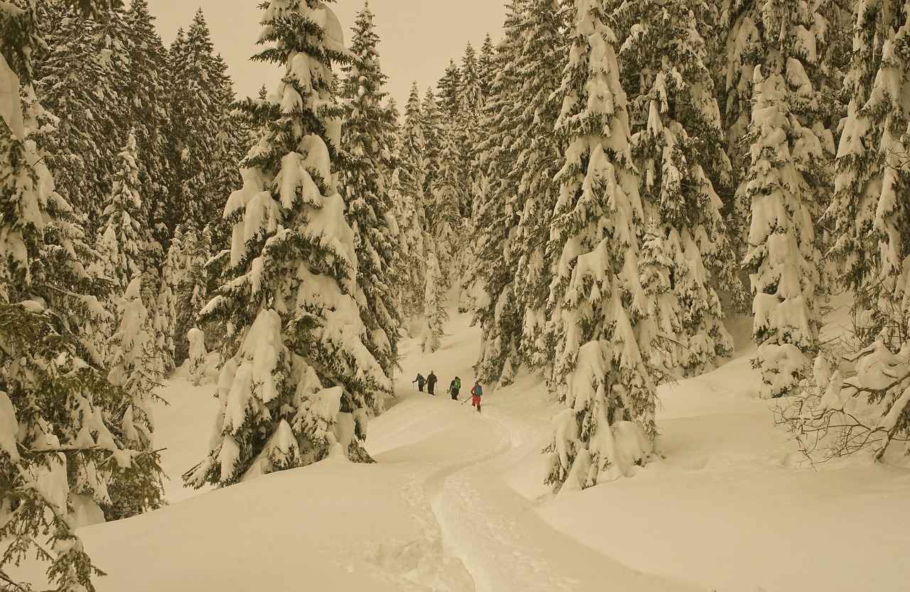 Die Aufstellung von Bayern München