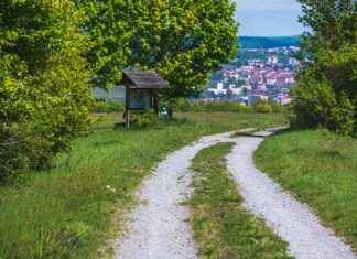 Aufstellungen: Teilnehmer: FC Bayern München Gegen Slovan Bratislava – Wer Steht Auf Dem Platz? Aufstellungen: Teilnehmer: FC Bayern München Gegen Slovan Bratislava – Wer Steht Auf Dem Platz?