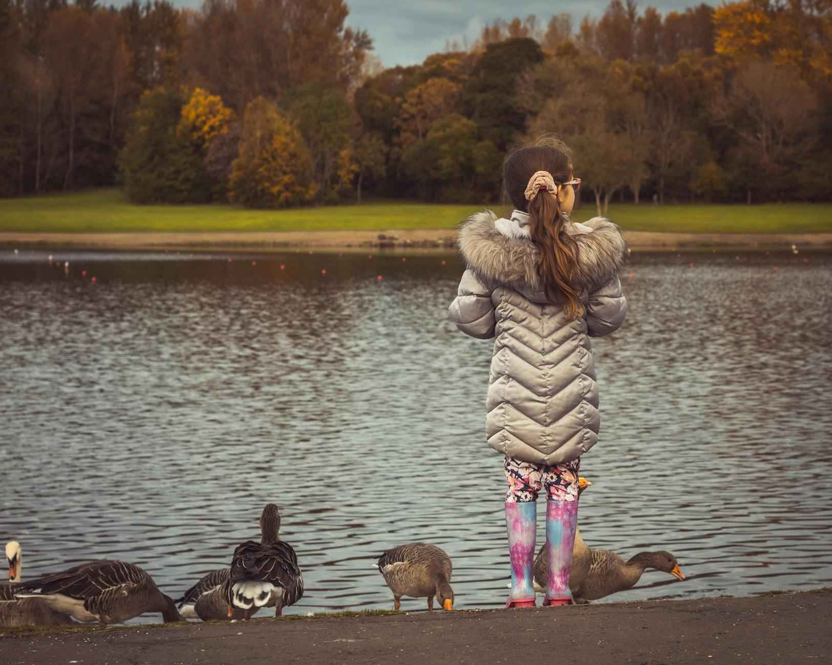 Zusammenfassung der Aufstellungen