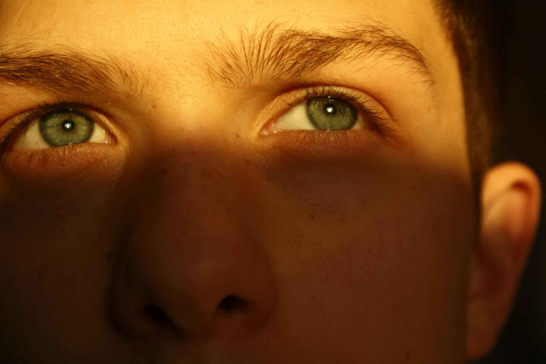 Vergleich der beiden Mannschaften