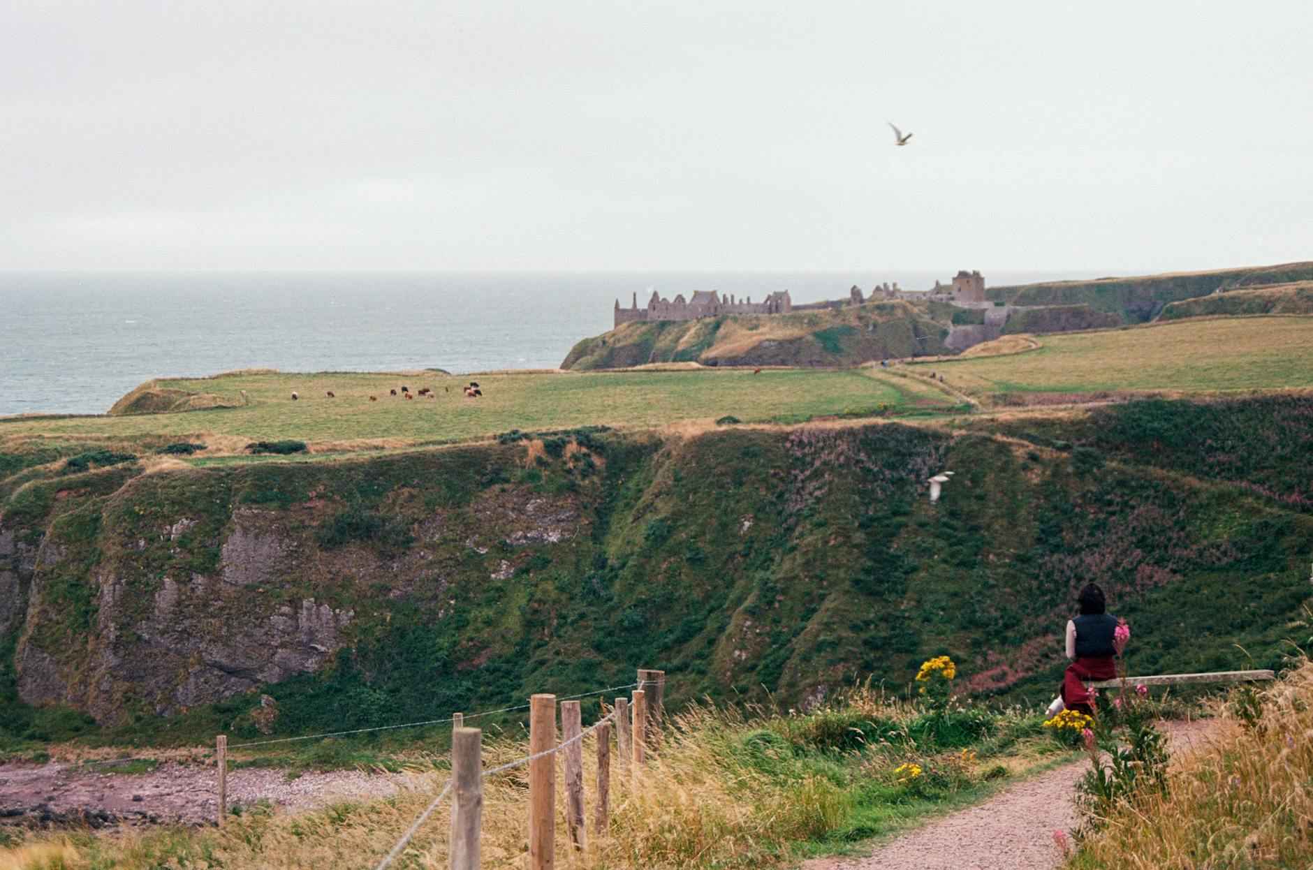 Aufstellungen: Teilnehmer: Real Madrid Gegen UD Las Palmas – Die Startaufstellungen Im Überblick 5 Fazit: Wer wird gewinnen?