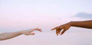 Aufstellungen: Teilnehmer: SV Sandhausen Gegen 1. FC Köln: Aufstellungen im Match Sandhausen gegen Köln Aufstellungen: Teilnehmer: SV Sandhausen Gegen 1. FC Köln: Aufstellungen im Match Sandhausen gegen Köln