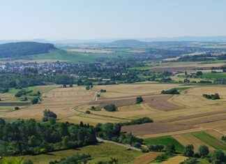 Aufstellungen: Teilnehmer: Vfb Stuttgart Gegen 1. Fc Kaiserslautern – Aufstellungen: Vfb Stuttgart Gegen 1. Fc Kaiserslautern – Die Startaufstellungen Alle Hier! Aufstellungen: Teilnehmer: Vfb Stuttgart Gegen 1. Fc Kaiserslautern – Aufstellungen: Vfb Stuttgart Gegen 1. Fc Kaiserslautern – Die Startaufstellungen Alle Hier!