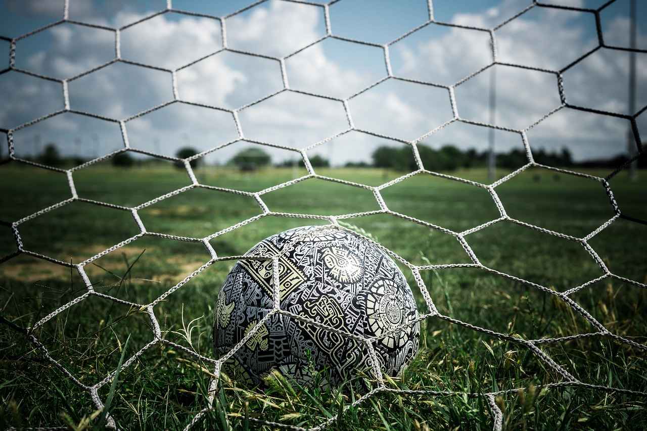 Aufstellungen: Teilnehmer: Vfb Stuttgart Gegen 1. Fc Kaiserslautern – Aufstellungen: Vfb Stuttgart Gegen 1. Fc Kaiserslautern – Die Startaufstellungen Alle Hier! 1 Die Bedeutung der Aufstellung