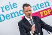 mglicher-lindner-nachfolger-drr-warnt-vor-afd-verbotsverfahren