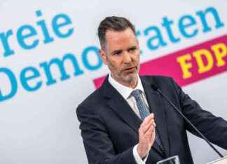 Möglicher Lindner-Nachfolger Dürr warnt vor AfD-Verbotsverfahren mglicher-lindner-nachfolger-drr-warnt-vor-afd-verbotsverfahren