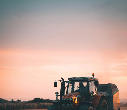 Aufstellungen Teilnehmer: Spannende SV Wehen Wiesbaden Gegen Jahn Regensburg Spielszenen