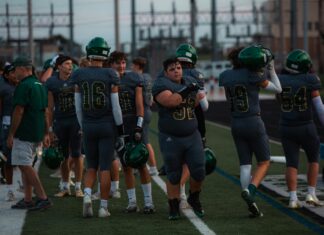 Aufstellungen Teilnehmer Tottenham Gegen West Ham – Wer Steht Im Team?