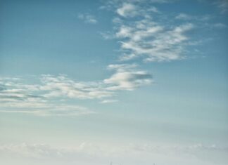 Aufstellungen Teilnehmer VfL Wolfsburg Gegen Holstein Kiel – Wer Gewinnt?