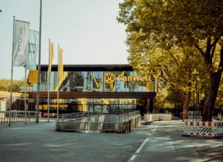 Aufstellungen Teilnehmer VfL Wolfsburg Gegen Borussia Dortmund Enthüllt