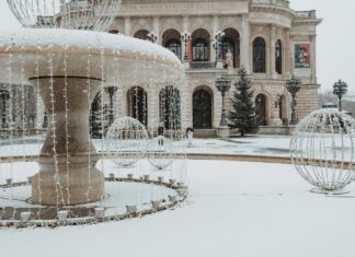 Aufstellungen Teilnehmer Holstein Kiel Gegen Eintracht Frankfurt – Wer Gewinnt?