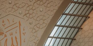 Aufstellungen Teilnehmer 1. FC Köln Gegen HSV: Überraschungen Entdeckt!