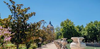 Aufstellungen Teilnehmer Atalanta Bergamo Gegen Real Madrid: Wer Gewinnt?