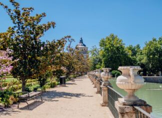 Aufstellungen Teilnehmer Atalanta Bergamo Gegen Real Madrid: Wer Gewinnt?