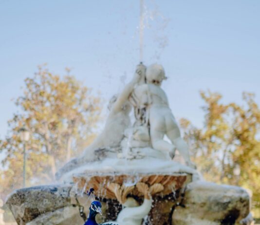 Aufstellungen Teilnehmer Rayo Vallecano Gegen Real Madrid: Wer Gewinnt?