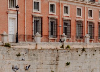 Aufstellungen Teilnehmer Manchester City Gegen Real Madrid – Wer Zeigt Stärke?