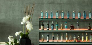 Aufstellungen Teilnehmer VfB Stuttgart Gegen Hoffenheim – Wer Startet?