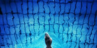 Aufstellungen Teilnehmer Vfl Bochum Gegen Rb Leipzig – Wer Siegt?