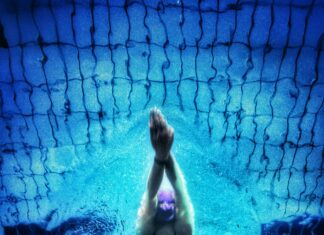 Aufstellungen Teilnehmer Vfl Bochum Gegen Rb Leipzig – Wer Siegt?