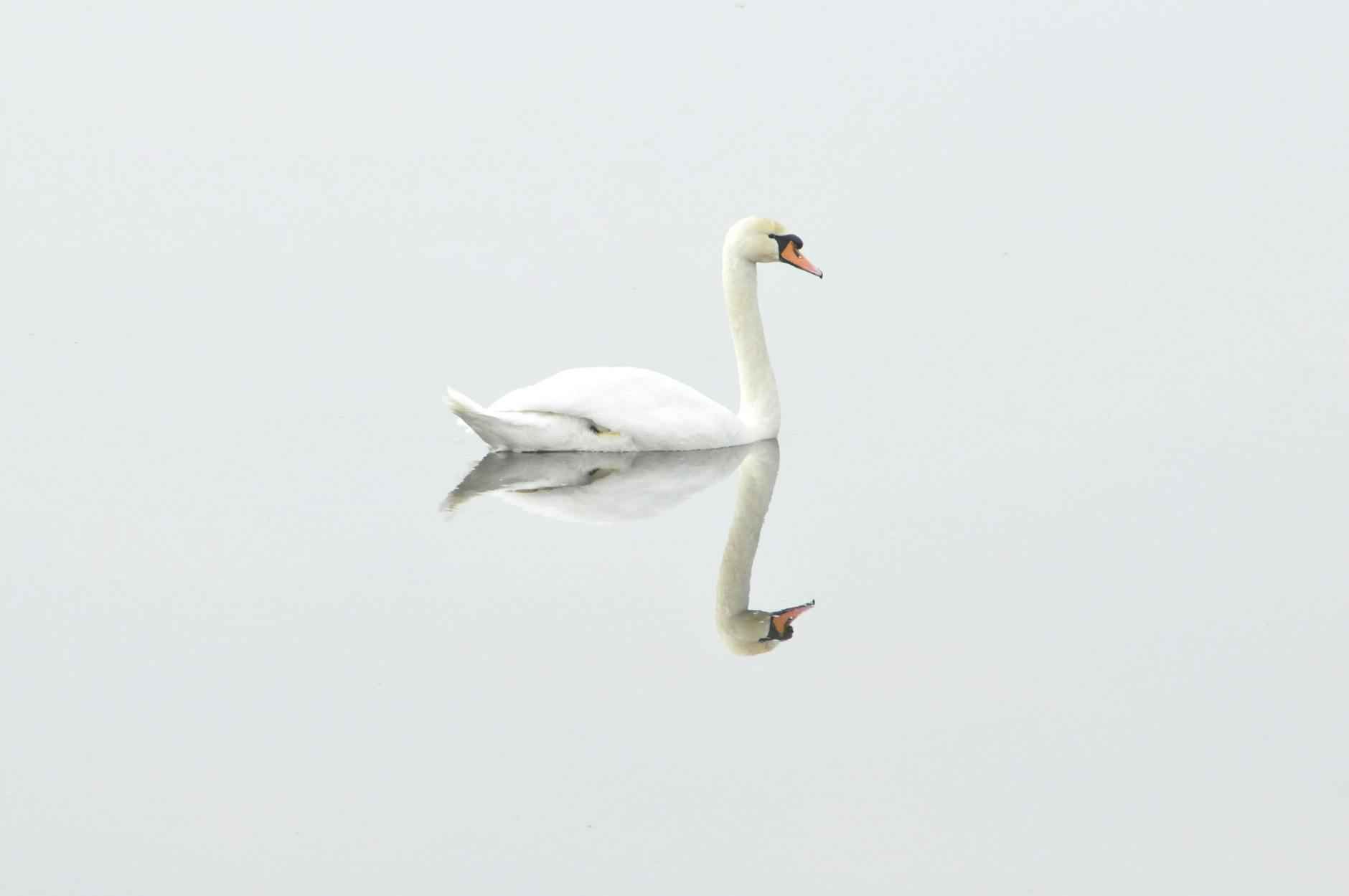 Teilnehmer: 1. FC Heidenheim Gegen 1. FC Köln Tabelle: Wer führt die Tabelle im Spiel Heidenheim gegen Köln an? 1 Die Ausgangslage der Teams