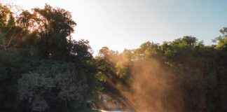 Teilnehmer: 1. FC Heidenheim Gegen RB Leipzig Statistiken – Alles Zu Den Statistiken Der Partie Teilnehmer: 1. FC Heidenheim Gegen RB Leipzig Statistiken – Alles Zu Den Statistiken Der Partie